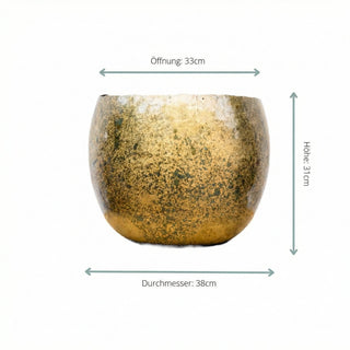 Messing Dekotopf aus Metall von Sachsenpalmen, elegantes Zubehör für Pflanzen und Raumdekoration.